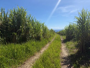 Bien agricole a vendre SAINTE-ANNE 97437 Réunion  149900 euros