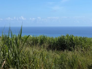 Bien agricole a vendre SAINTE-ANNE 97437 Réunion  149900 euros