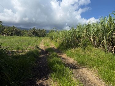 Bien agricole a vendre SAINTE-ANNE 97437 Réunion  149900 euros
