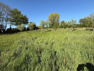 Terrains de loisirs bois etangs a vendre Blaringhem 59173 Nord 3330 m2  12400 euros