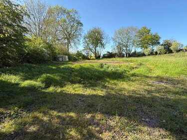 Terrains de loisirs bois etangs a vendre Blaringhem 59173 Nord 3330 m2  12400 euros