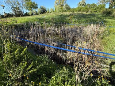 Terrains de loisirs bois etangs a vendre Blaringhem 59173 Nord 3330 m2  12400 euros
