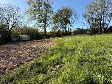 Terrains de loisirs bois etangs a vendre Blaringhem 59173 Nord 3330 m2  12400 euros