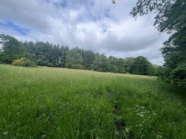 Terrains de loisirs bois etangs a vendre Le Tronchet 35540 Ille-et-Vilaine 84578 m2  128400 euros