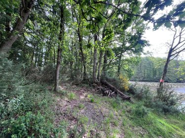 Terrains de loisirs bois etangs a vendre Le Tronchet 35540 Ille-et-Vilaine 84578 m2  128400 euros