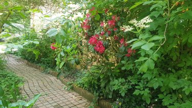 Maison a vendre Châtres-sur-Cher 41320 Loir-et-Cher 105 m2 5 pièces 231880 euros