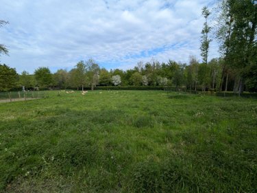 Maison a vendre Blangy-sur-Ternoise 62770 Pas-de-Calais 134 m2 7 pièces 183100 euros