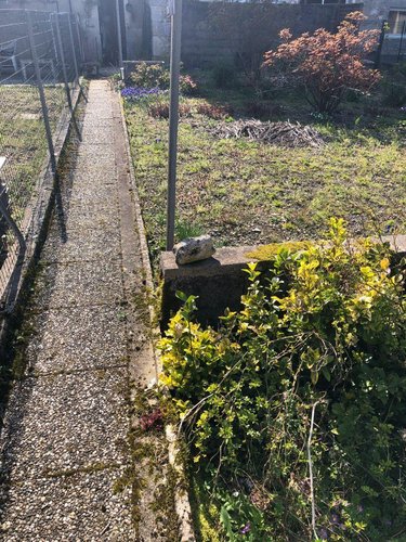 Maison a vendre Velaines 55500 Meuse 150 m2 5 pièces 97200 euros