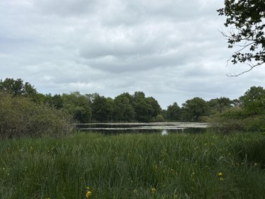 Terrains de loisirs bois etangs a vendre Migné 36800 Indre 160992 m2  546000 euros