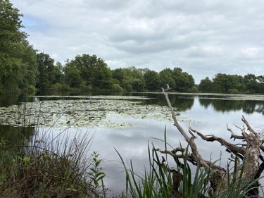 Terrains de loisirs bois etangs a vendre Migné 36800 Indre 160992 m2  546000 euros
