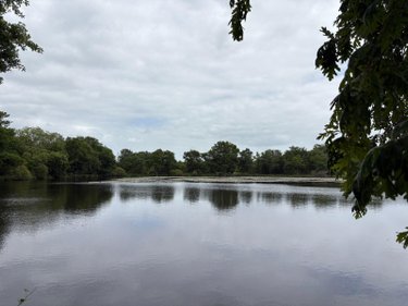Terrains de loisirs bois etangs a vendre Migné 36800 Indre 160992 m2  546000 euros