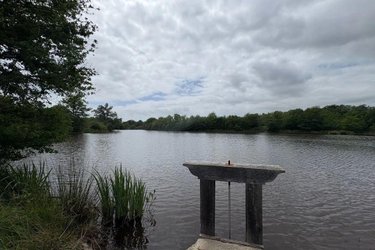Terrains de loisirs bois etangs a vendre Migné 36800 Indre 160992 m2  546000 euros