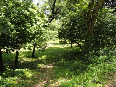 propriete a vendre Bouillargues 30230 Gard 232 m2 10 pièces 318000 euros