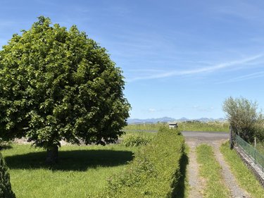 Maison a vendre Arpajon-sur-Cère 15130 Cantal 130 m2 5 pièces 169600 euros