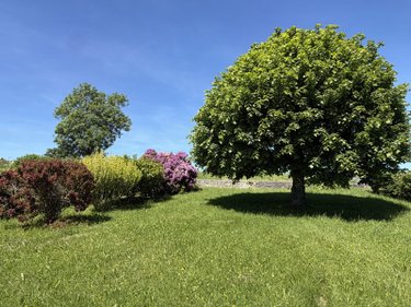 Maison a vendre Arpajon-sur-Cère 15130 Cantal 130 m2 5 pièces 169600 euros
