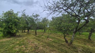 Maison a vendre Montchevrier 36140 Indre 105 m2 4 pièces 130000 euros