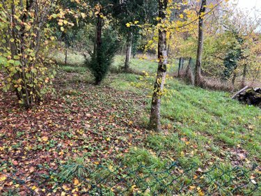 Maison a vendre Palluau-sur-Indre 36500 Indre 77 m2 3 pièces 56300 euros