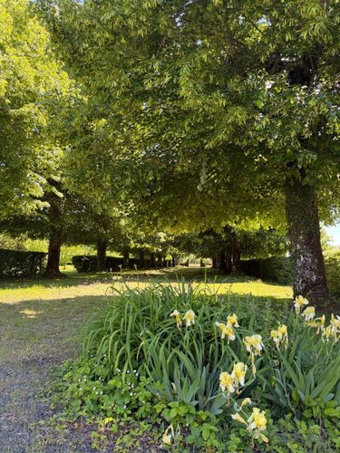 Maison a vendre Mauriac 15200 Cantal 379 m2 11 pièces 551200 euros