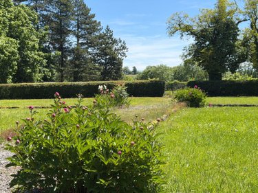 Maison a vendre Mauriac 15200 Cantal 379 m2 11 pièces 551200 euros