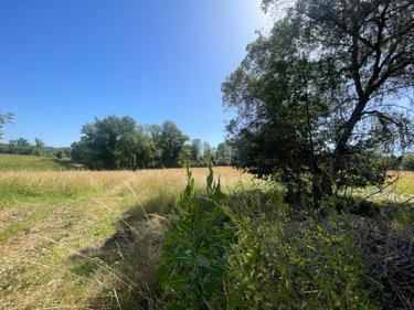 Maison a vendre Siorac-de-Ribérac 24600 Dordogne 214 m2 5 pièces 360120 euros