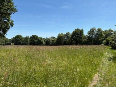 Terrain a batir a vendre Chaillac-sur-Vienne 87200 Haute-Vienne 2672 m2  34629 euros