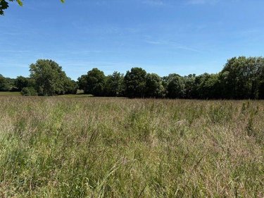 Terrain a batir a vendre Chaillac-sur-Vienne 87200 Haute-Vienne 2672 m2  34629 euros
