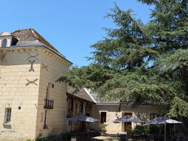 Maison a vendre Beaumont-en-Véron 37420 Indre-et-Loire 1100 m2 45 pièces 792320 euros