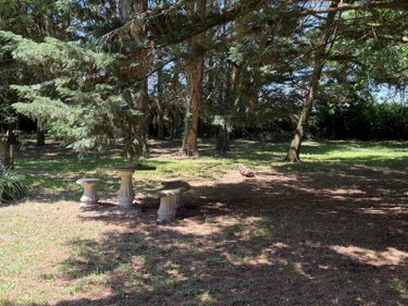 Maison a vendre Beaumont-en-Véron 37420 Indre-et-Loire 1100 m2 45 pièces 792320 euros