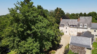 Maison a vendre Beaumont-en-Véron 37420 Indre-et-Loire 1100 m2 45 pièces 792320 euros