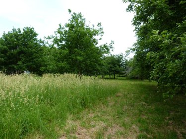 Maison a vendre Bannalec 29380 Finistère 80 m2  63600 euros