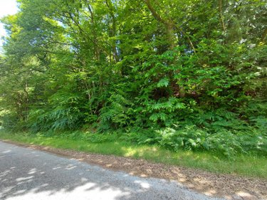 Maison a vendre Cléguérec 56480 Morbihan 67 m2 3 pièces 106000 euros