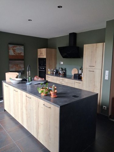 Maison a vendre Rosendael 59240 Nord 165 m2 8 pièces 504400 euros