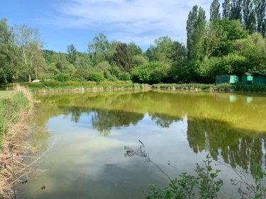 Terrains de loisirs bois etangs a vendre Savigné-l'Évêque 72460 Sarthe 2600 m2  20140 euros