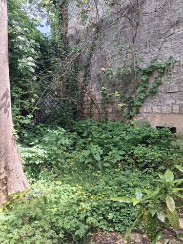 Maison a vendre Fontaines-sur-Marne 52170 Haute-Marne  48900 euros