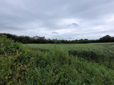 Terrain a batir a vendre Crémarest 62240 Pas-de-Calais 1000 m2  59900 euros