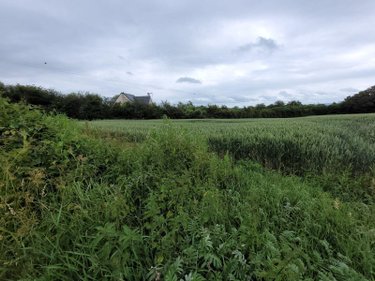 Terrain a batir a vendre Crémarest 62240 Pas-de-Calais 1000 m2  59900 euros