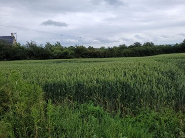 Terrain a batir a vendre Crémarest 62240 Pas-de-Calais 1000 m2  59900 euros