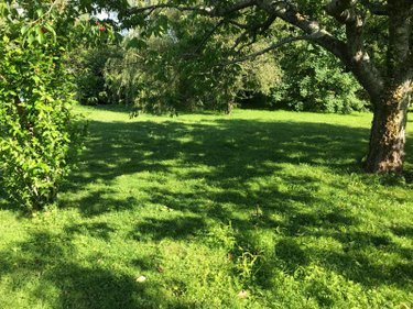 Terrain a batir a vendre Bonnétable 72110 Sarthe 1280 m2  41472 euros