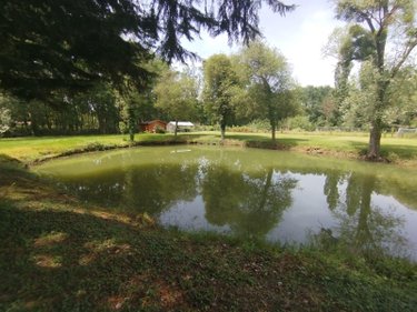 Terrains de loisirs bois etangs a vendre Saint-Georges-du-Bois 72700 Sarthe 4350 m2  35000 euros