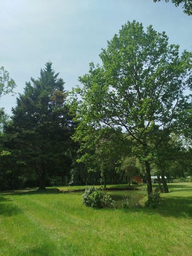 Terrains de loisirs bois etangs a vendre Saint-Georges-du-Bois 72700 Sarthe 4350 m2  35000 euros