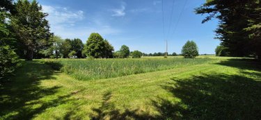 Terrains de loisirs bois etangs a vendre Terrehault 72110 Sarthe 8076 m2  17640 euros