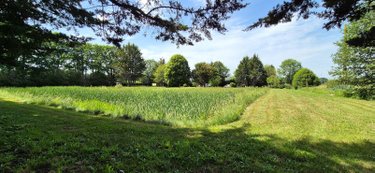 Terrains de loisirs bois etangs a vendre Terrehault 72110 Sarthe 8076 m2  17640 euros
