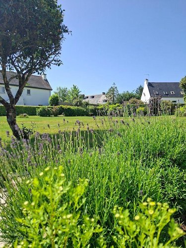 Maison a vendre Mellac 29300 Finistère 147 m2  322090 euros