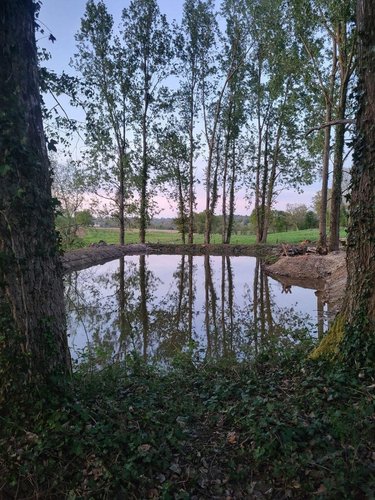 Terrains de loisirs bois etangs a vendre Sainte-Honorine-la-Chardonne 61430 Orne 3572 m2  24400 euros