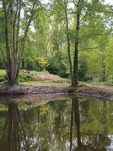 Terrains de loisirs bois etangs a vendre Sainte-Honorine-la-Chardonne 61430 Orne 3572 m2  24400 euros