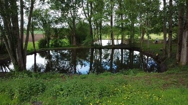 Terrains de loisirs bois etangs a vendre Sainte-Honorine-la-Chardonne 61430 Orne 3572 m2  24400 euros