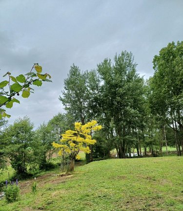 Terrains de loisirs bois etangs a vendre Sainte-Honorine-la-Chardonne 61430 Orne 3572 m2  24400 euros