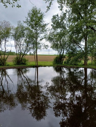 Terrains de loisirs bois etangs a vendre Sainte-Honorine-la-Chardonne 61430 Orne 3572 m2  24400 euros