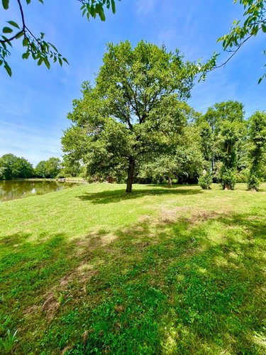 Maison a vendre Écueillé 36240 Indre 210 m2 10 pièces 283500 euros