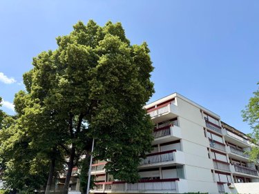 Appartement a vendre Talence 33400 Gironde 49 m2 2 pièces 215000 euros